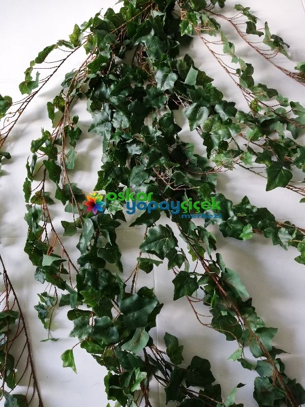 Yapay jumbo hedere sarmaşık