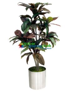 Yapay Cordyline Ağaç