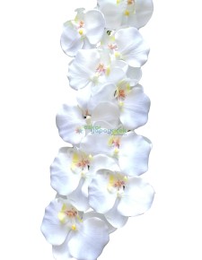 Yapay Beyaz Orkide