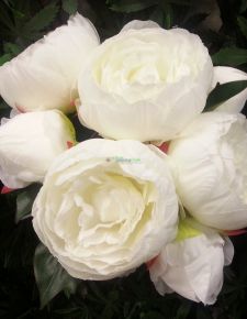 Yapay Beyaz Şakayık çiçeği