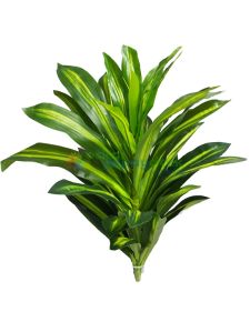 Yapay Dracena Bitki