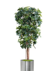 Yapay sheflore ağaç 180 cm