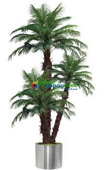 Üçlü Palmiye Ağaç 180 cm + 230 cm + 280 cm