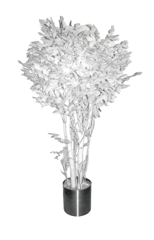 Yapay Beyaz ağaç Kutup yıldızı