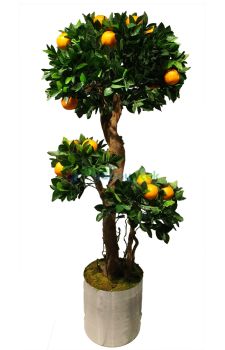 Yapay Portakal Ağacı
