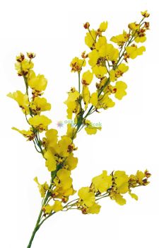 Yapay sarı dal orkide