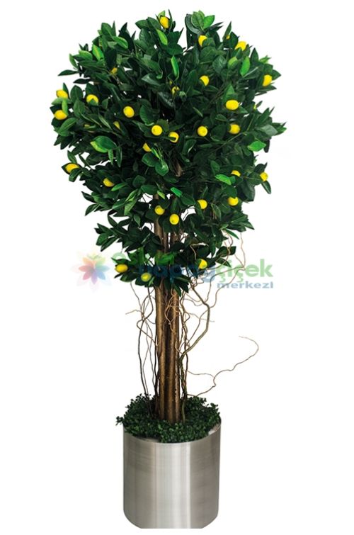 Handmade Beton Saksida Yapay Limon Agaci Uzun Model 40cm